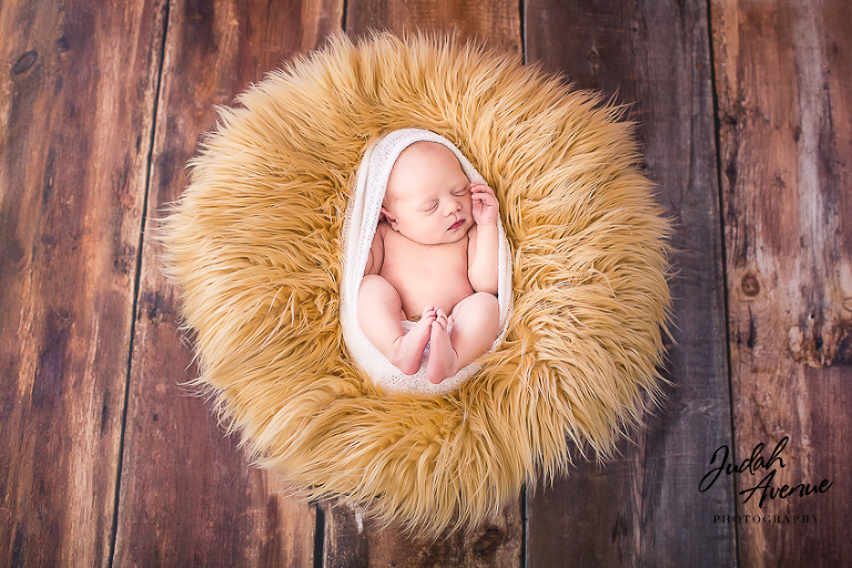 newborn photographer in virginia maryland washington dc