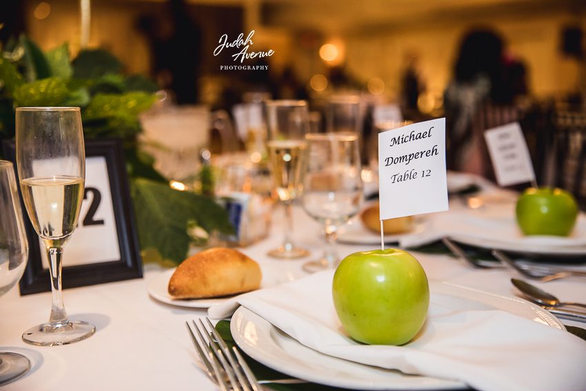 eva and kwaku wedding at the fiesta in wood-ridge nj new jersey wedding photographer new york wedding photographer destination wedding photographer