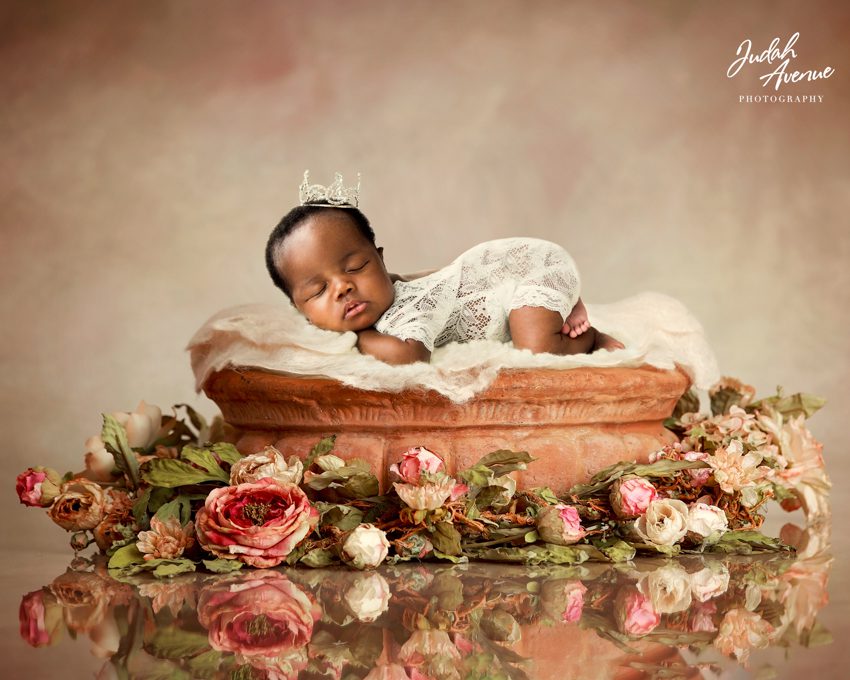 newborn photographer in maryland virginia washington dc