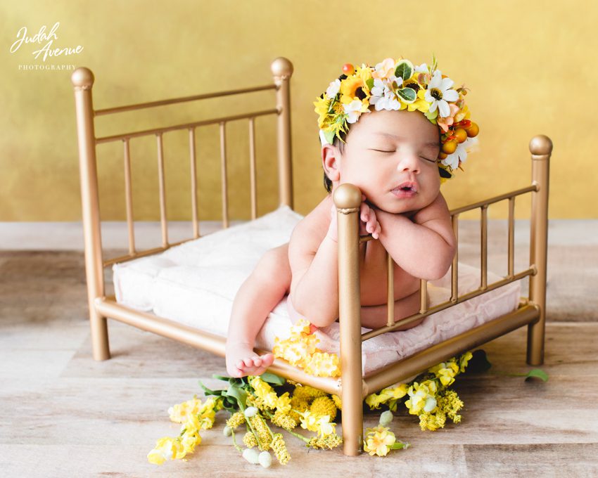 newborn photographer in maryland virginia washington dc