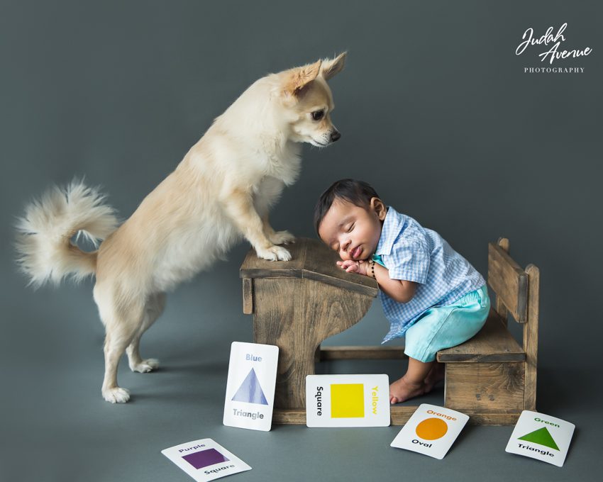 newborn photographer in maryland virginia washington dc