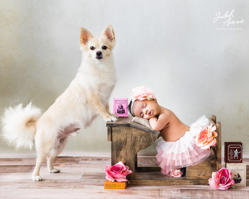 newborn photographer in maryland virginia washington dc