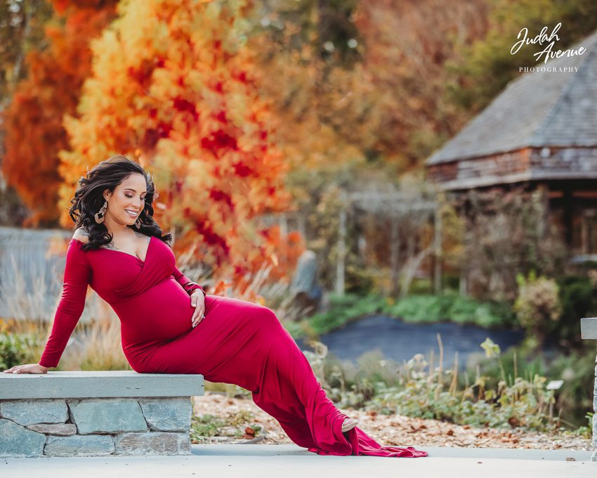 maternity photographer in washington dc virginia maryland