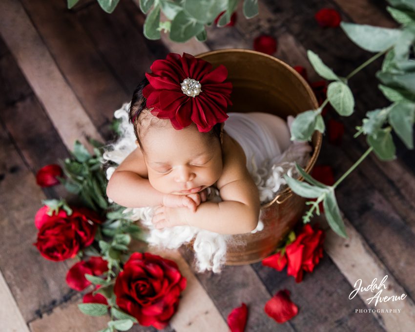 newborn photographer in maryland virginia washington dc