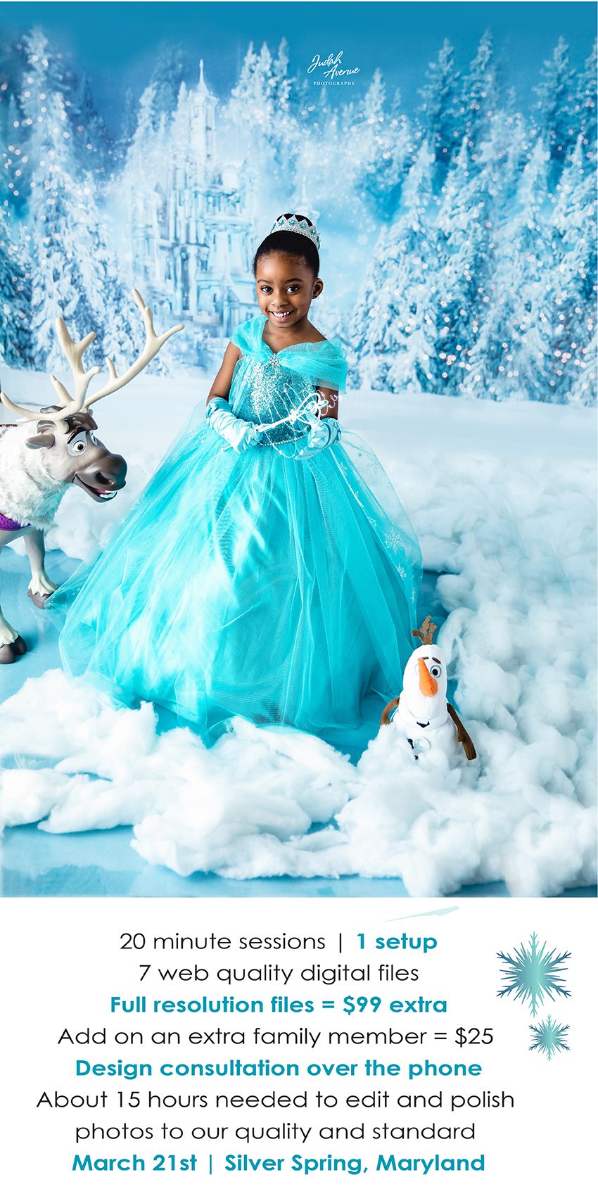 frozen wonderland mini sessions 2020