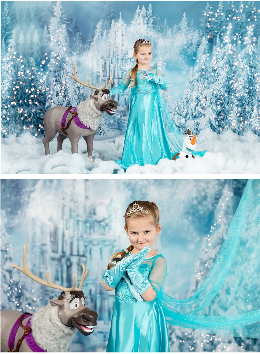 frozen wonderland mini sessions 2020