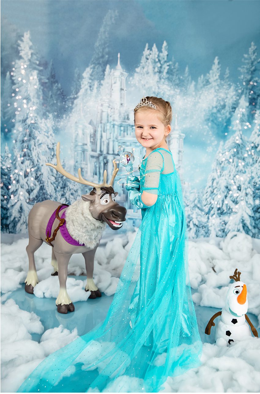 frozen wonderland mini sessions 2020
