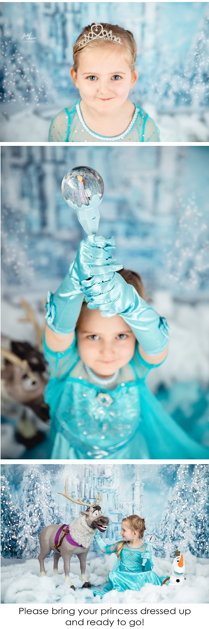 frozen wonderland mini sessions 2020