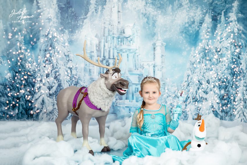 frozen wonderland mini sessions 2020