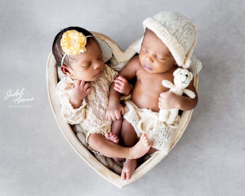 newborn twins photographer in washington dc virginia maryland