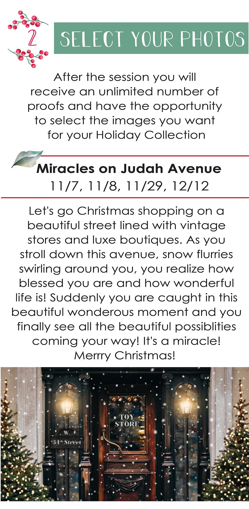 christmas holiday photographer in maryland virginia washington DC