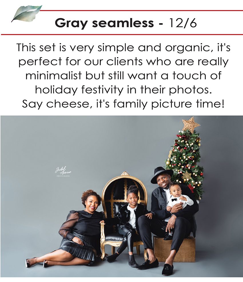 christmas holiday photographer in maryland virginia washington DC