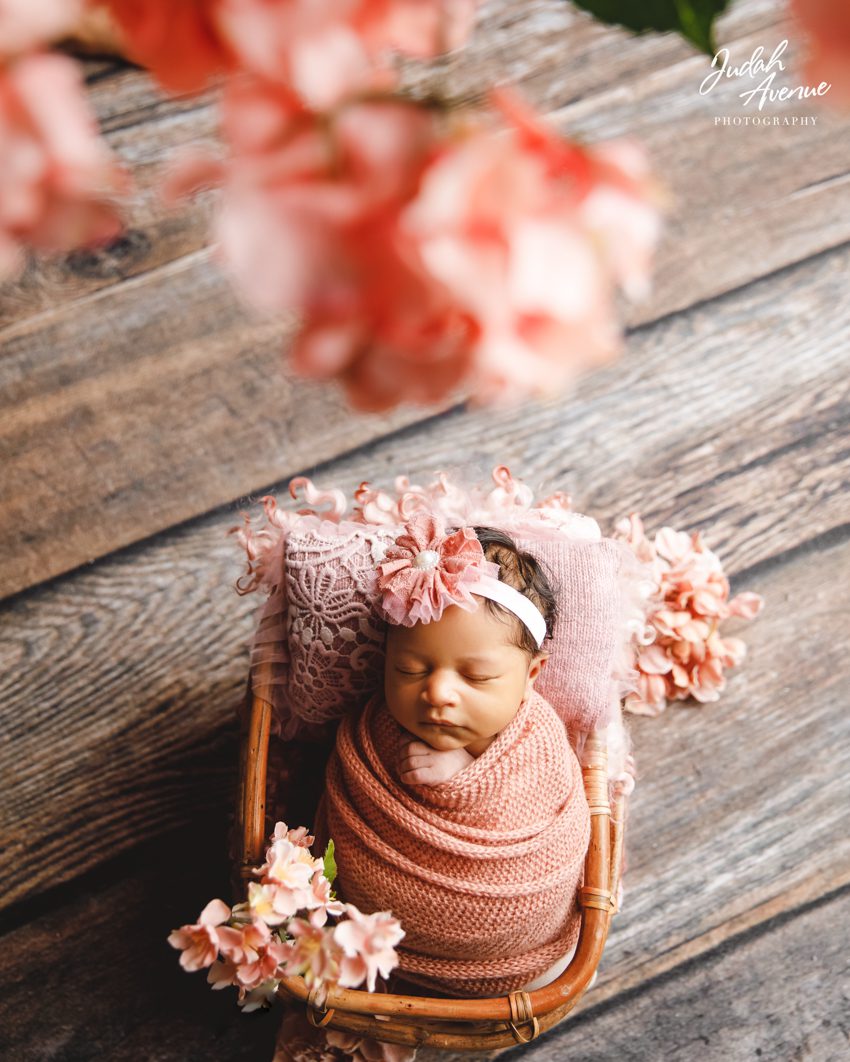 newborn photographer in washington dc virginia maryland