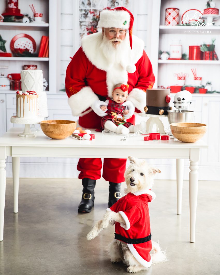 family photographer in washington dc virginia maryland