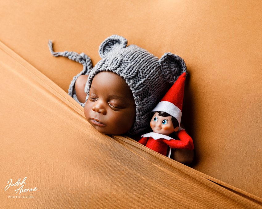 newborn photographer in washington dc virginia maryland