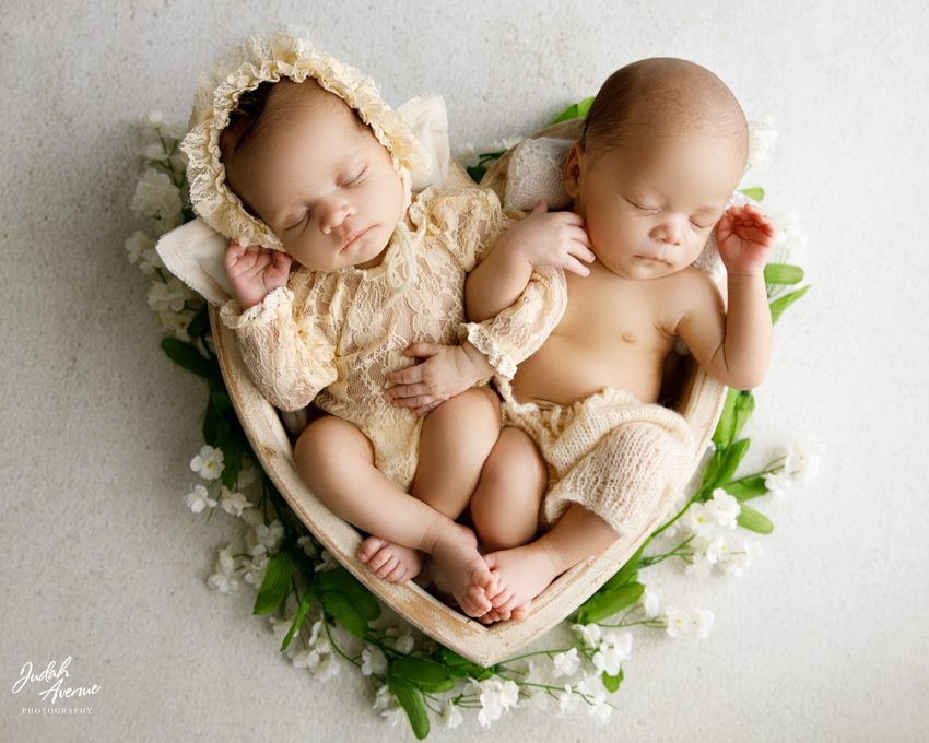 newborn twins photographer in washington dc virginia maryland