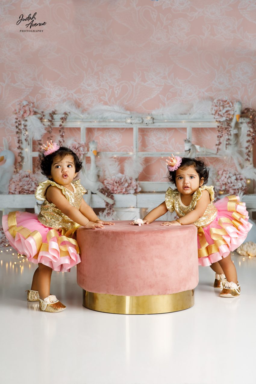 twins cake smash photographer in washington dc virginia maryland