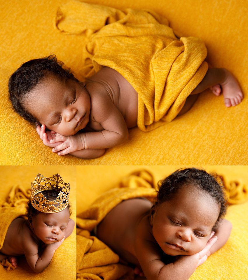 newborn photographer in washington dc virginia maryland