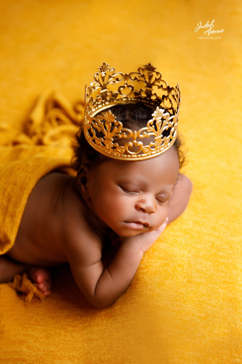 newborn photographer in washington dc virginia maryland