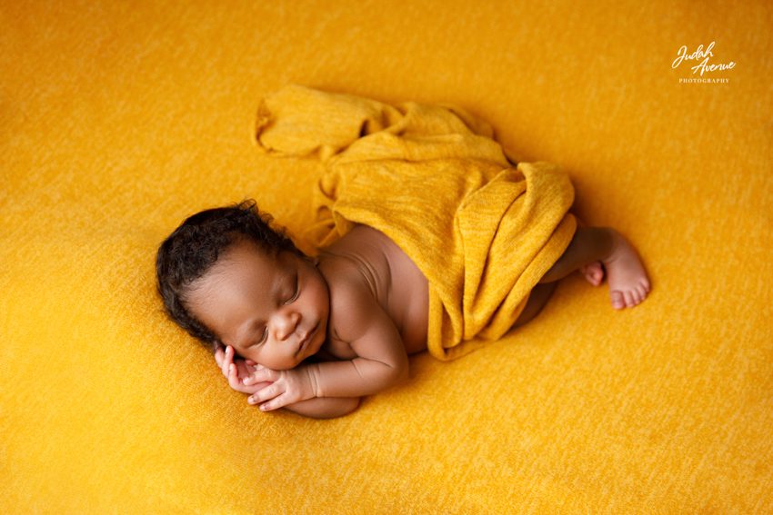 newborn photographer in washington dc virginia maryland