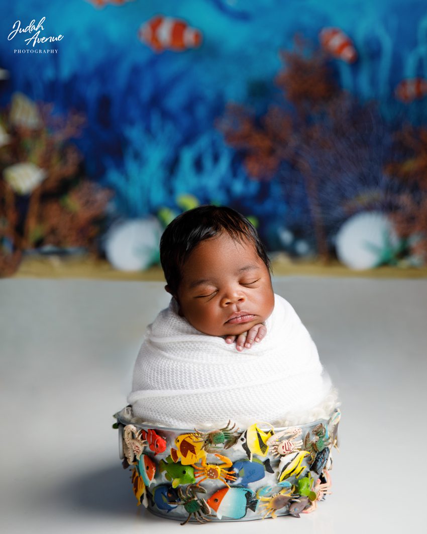 newborn photographer in washington dc virginia maryland