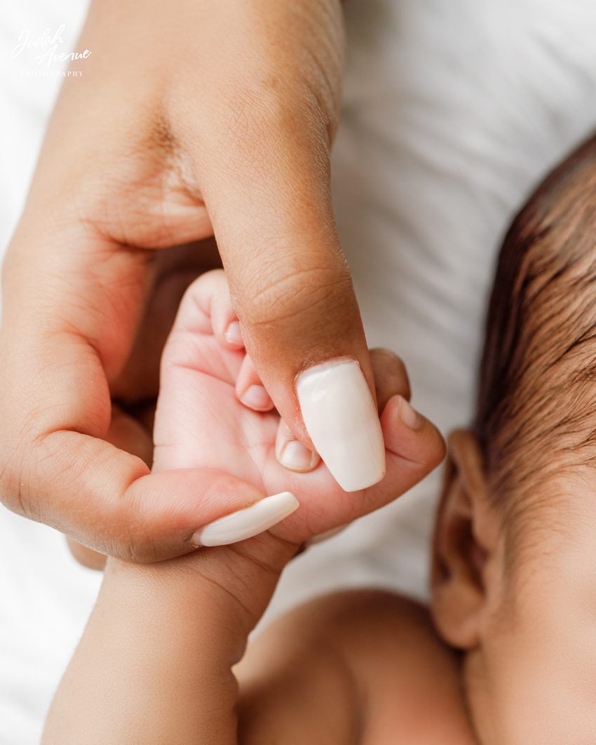 newborn photographer in washington dc virginia maryland