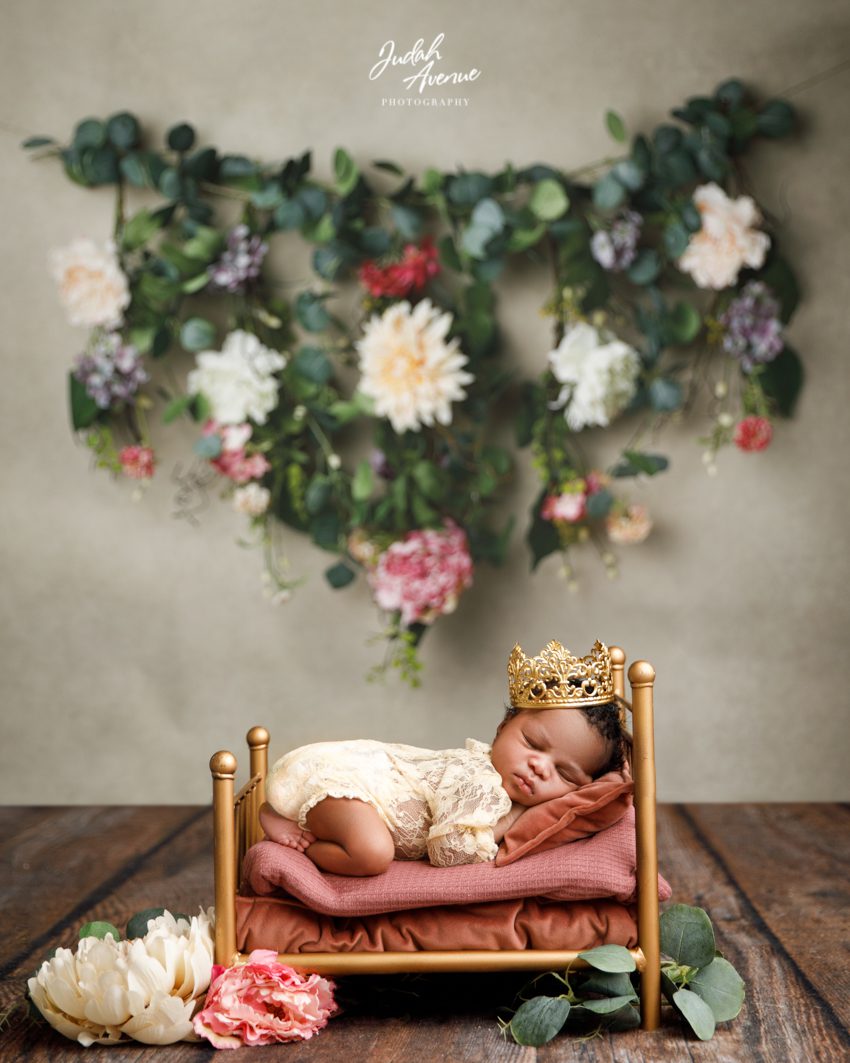 newborn photographer in washington dc virginia maryland