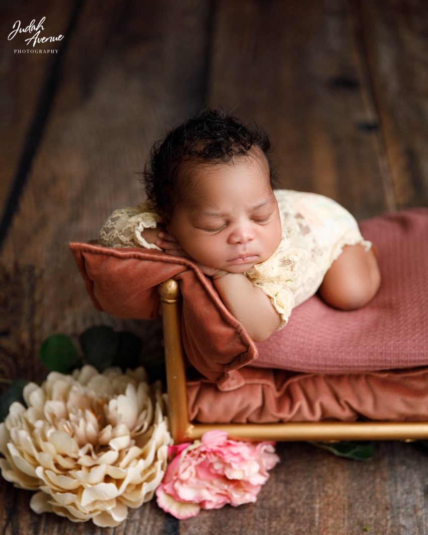 newborn photographer in washington dc virginia maryland