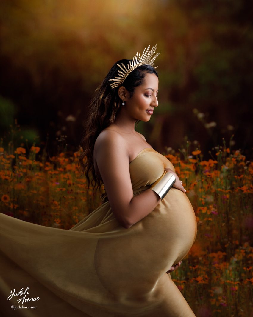 maternity photographer in maryland virginia washington dc