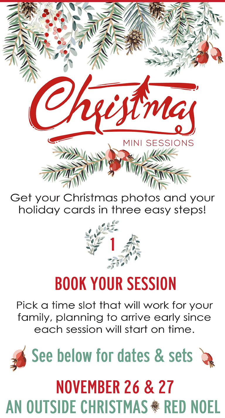 Christmas Mini Sessions are Now Booking Maryland Washington DC and Virginia Family