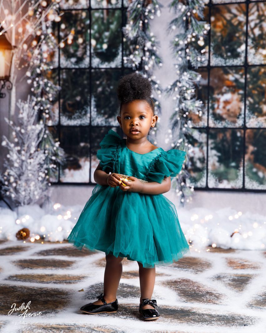 xmas photographer family photographer in maryland virginia washington dc