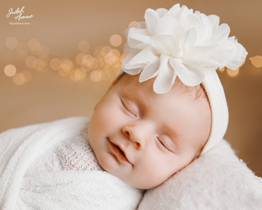 newborn photographer in maryland virginia washington dc