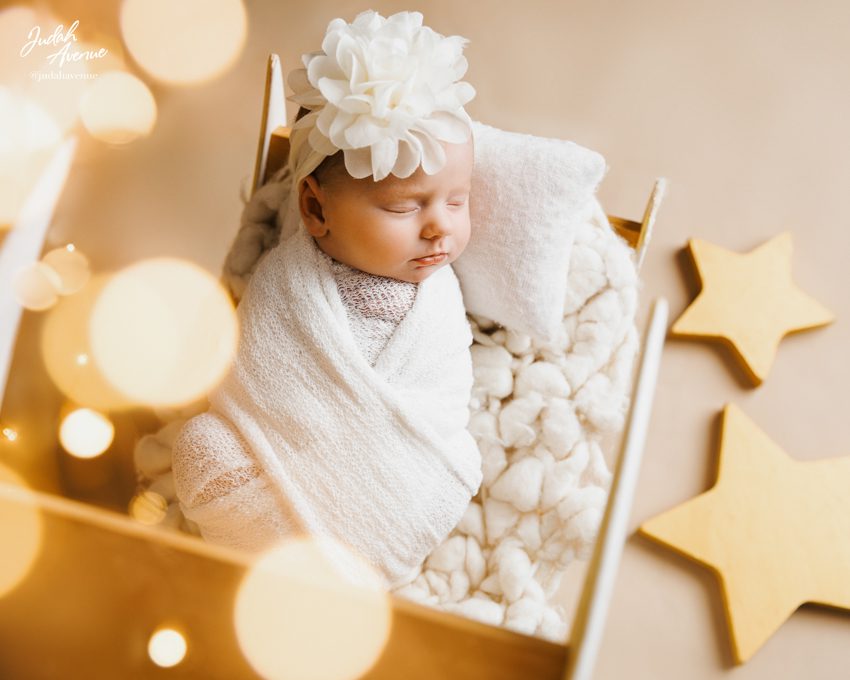 newborn photographer in maryland virginia washington dc