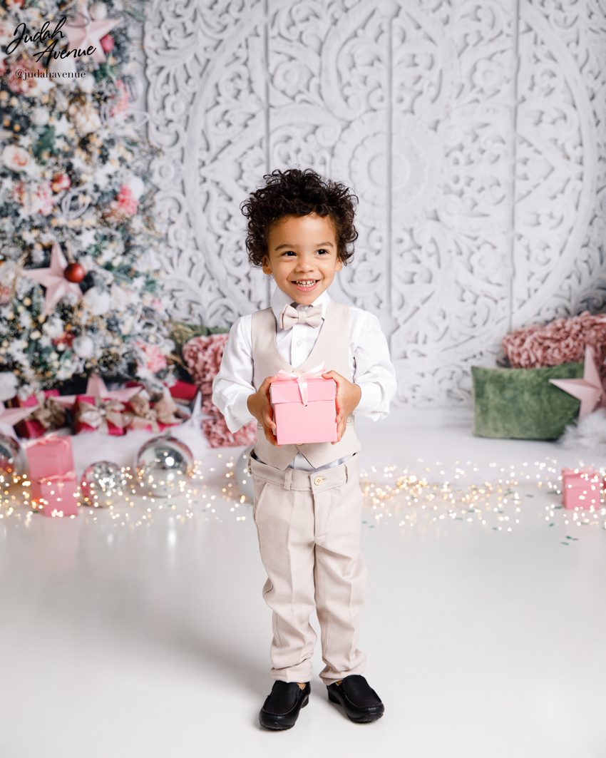 family photographer in maryland virginia washington dc