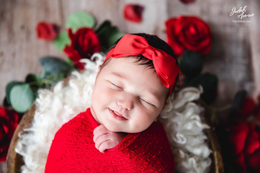 newborn photographer in washington dc virginia maryland