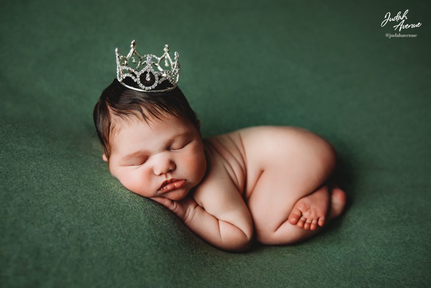 newborn photographer in washington dc virginia maryland