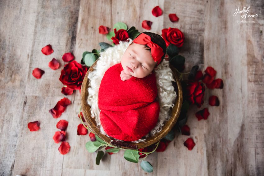 newborn photographer in washington dc virginia maryland