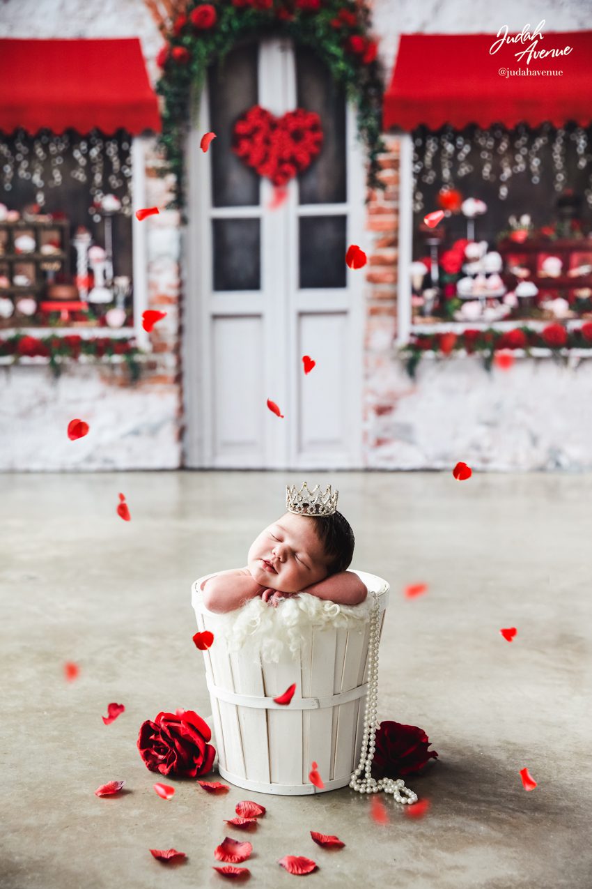 newborn photographer in washington dc virginia maryland