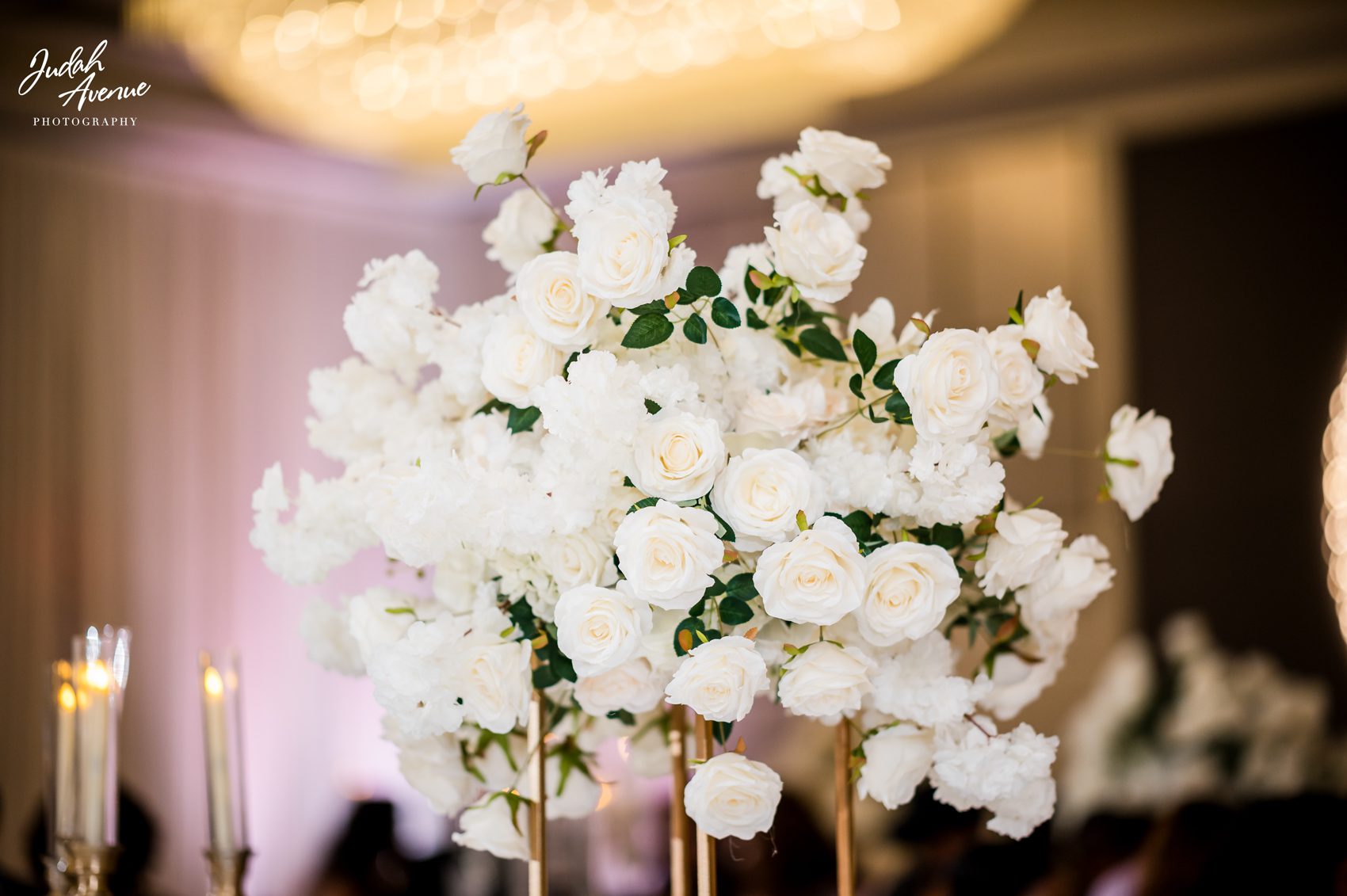 ruth and kirubel wedding at Hilton Alexandria Mark Center in alexandria va wedding photographer in virginia wedding photographer in maryland wedding photographer in washington dc