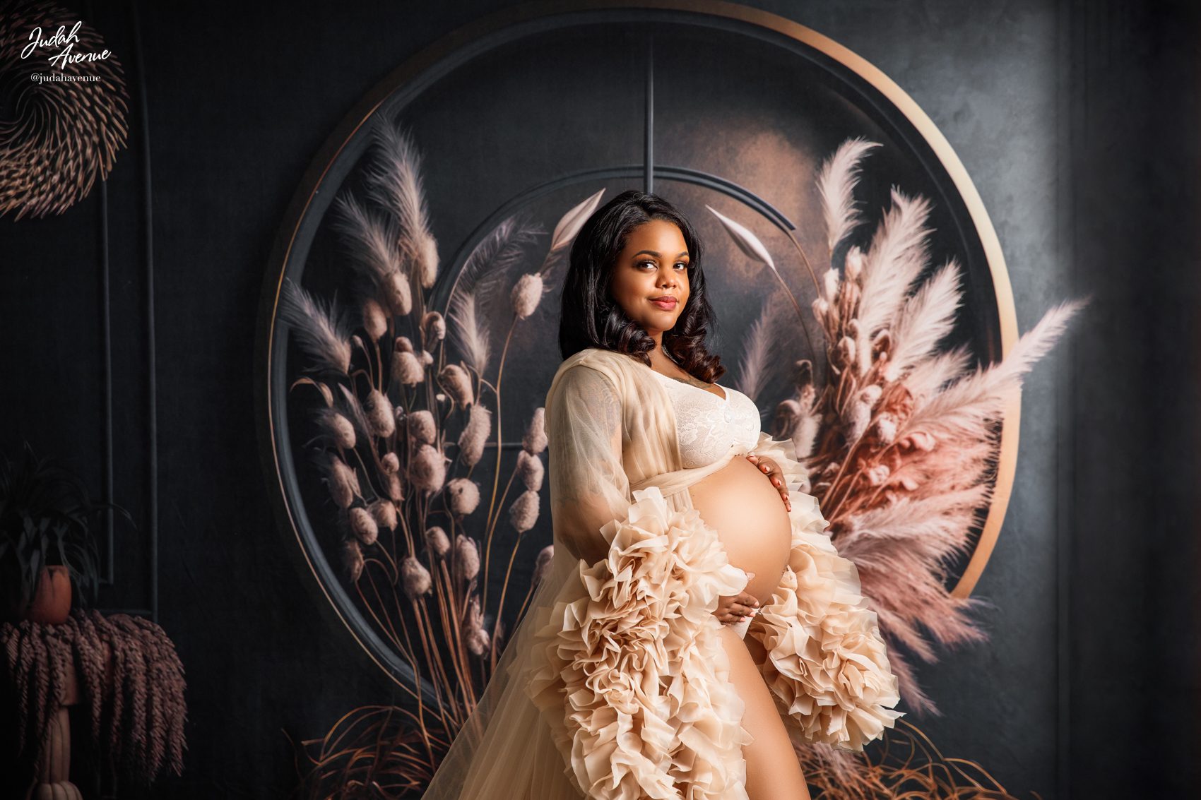 maternity photographer in maryland virginia washington dc