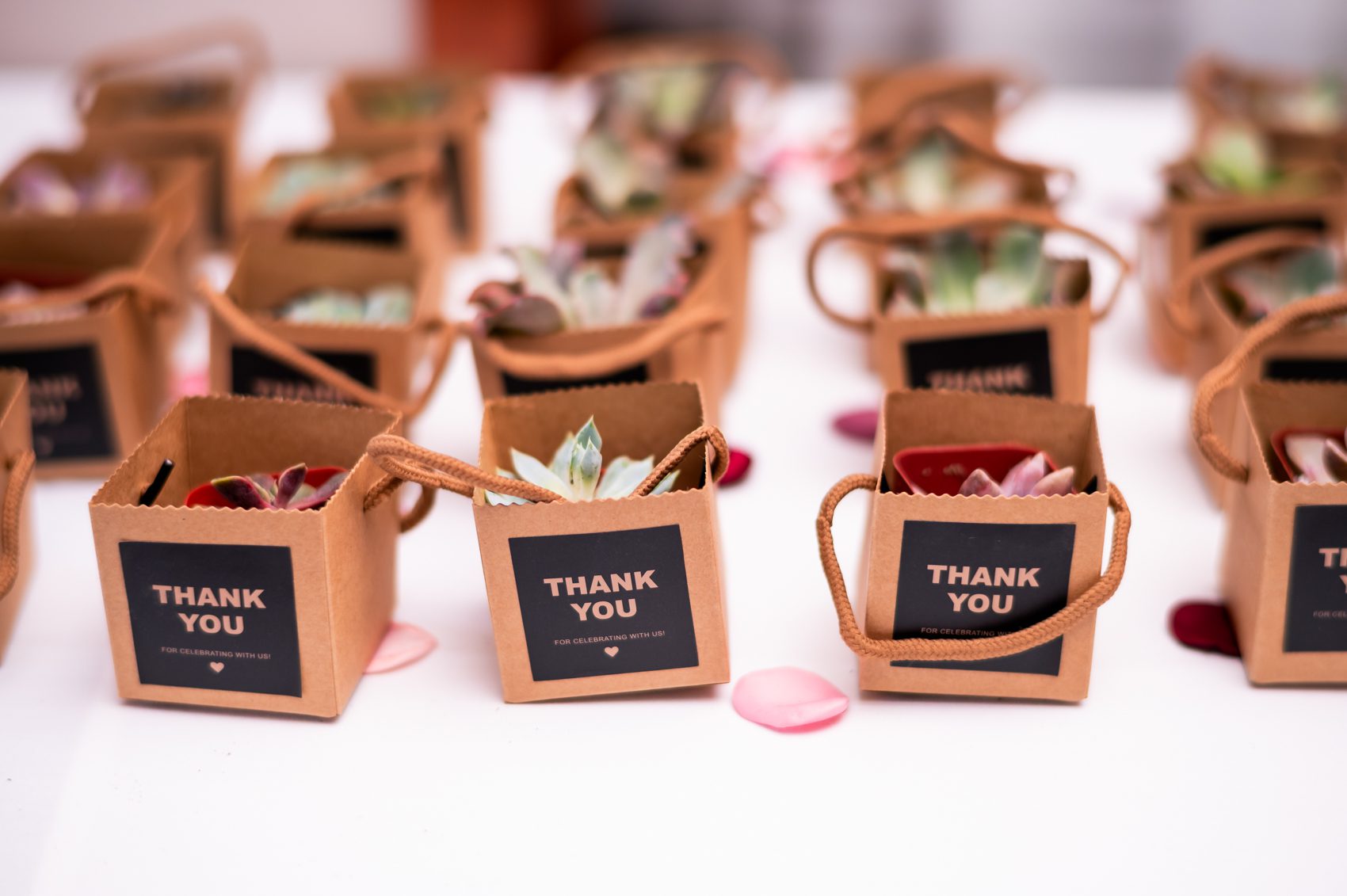 wedding at pinstripes Georgetown in Washington DC wedding photographer in virginia wedding photographer in maryland wedding photographer in washington dc